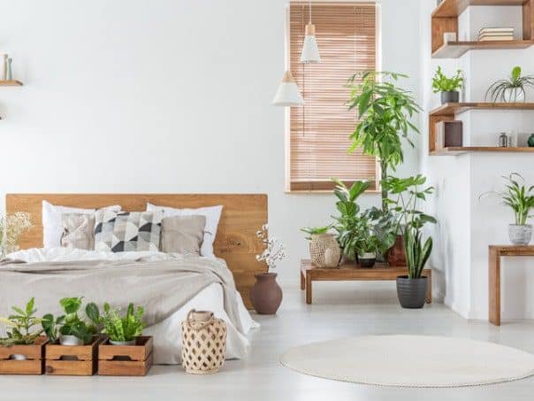 Why Indoor Plants Are Necessary In The Home - LSA HOME