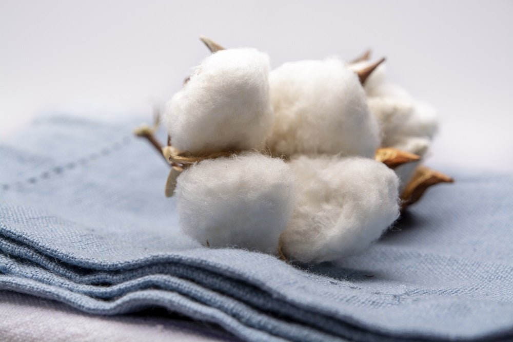 Your Burning Questions About Organic Cotton Answered - LSA HOME