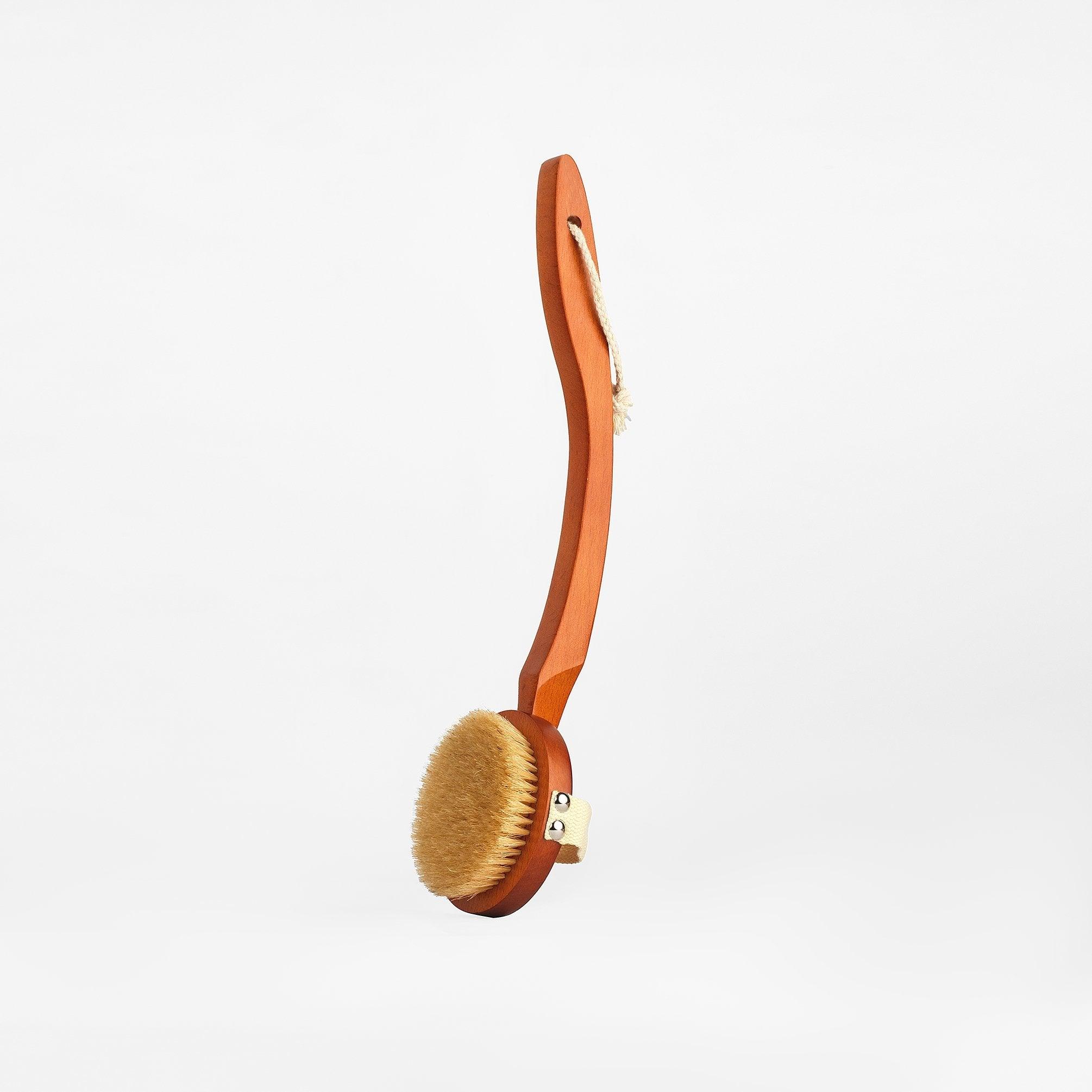 Round Body Brush with Beechwood Long Handle - LSA Home