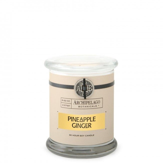 Archipelago Pineapple Ginger Jar Candle - LSA Home